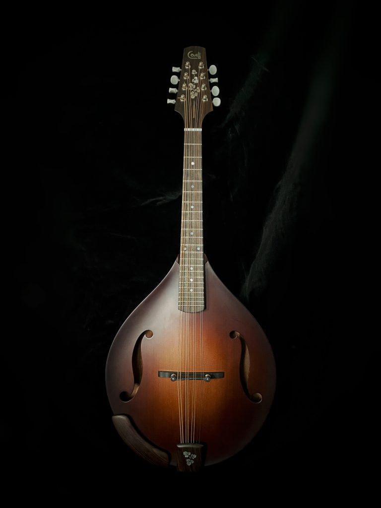 Custom mandola Coall Instruments