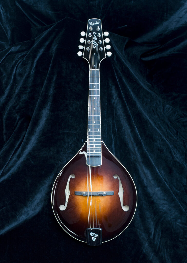 Custom Mandolin A5 014 / handcrafted A style mandolin with clean tone and elegant design / Coall Instruments