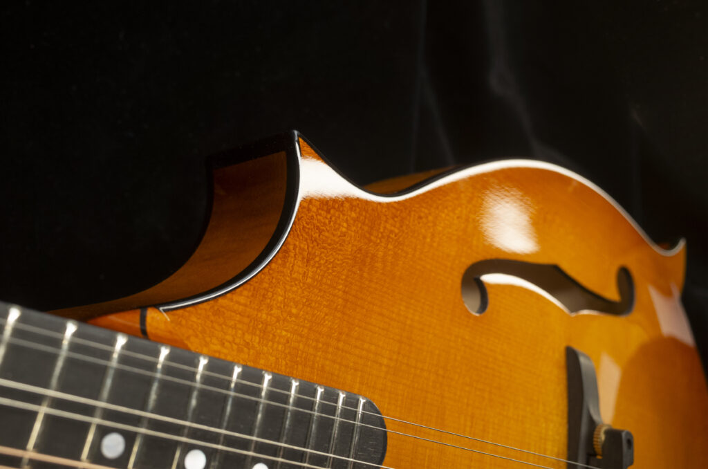Custom Mandolin F5 / handmade mandolin style F with strong projection and bluegrass character / Coall Instruments