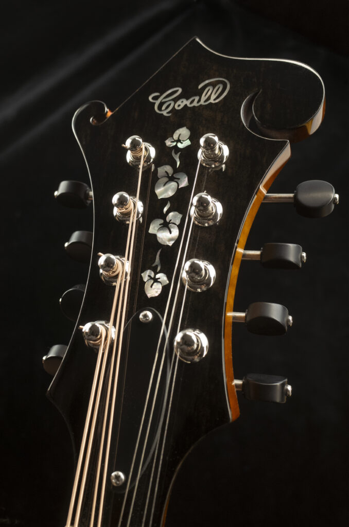 Custom Mandolin F5 / handmade mandolin style F with strong projection and bluegrass character / Coall Instruments
