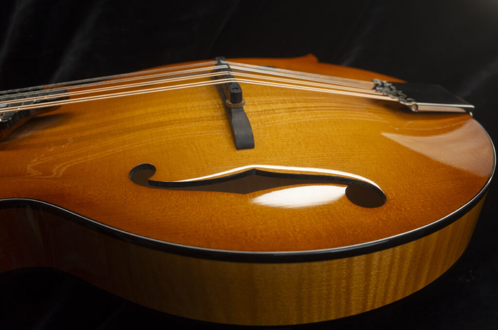 Custom Mandolin F5 / handmade mandolin style F with strong projection and bluegrass character / Coall Instruments / Ručná výroba - banjá a mandolíny