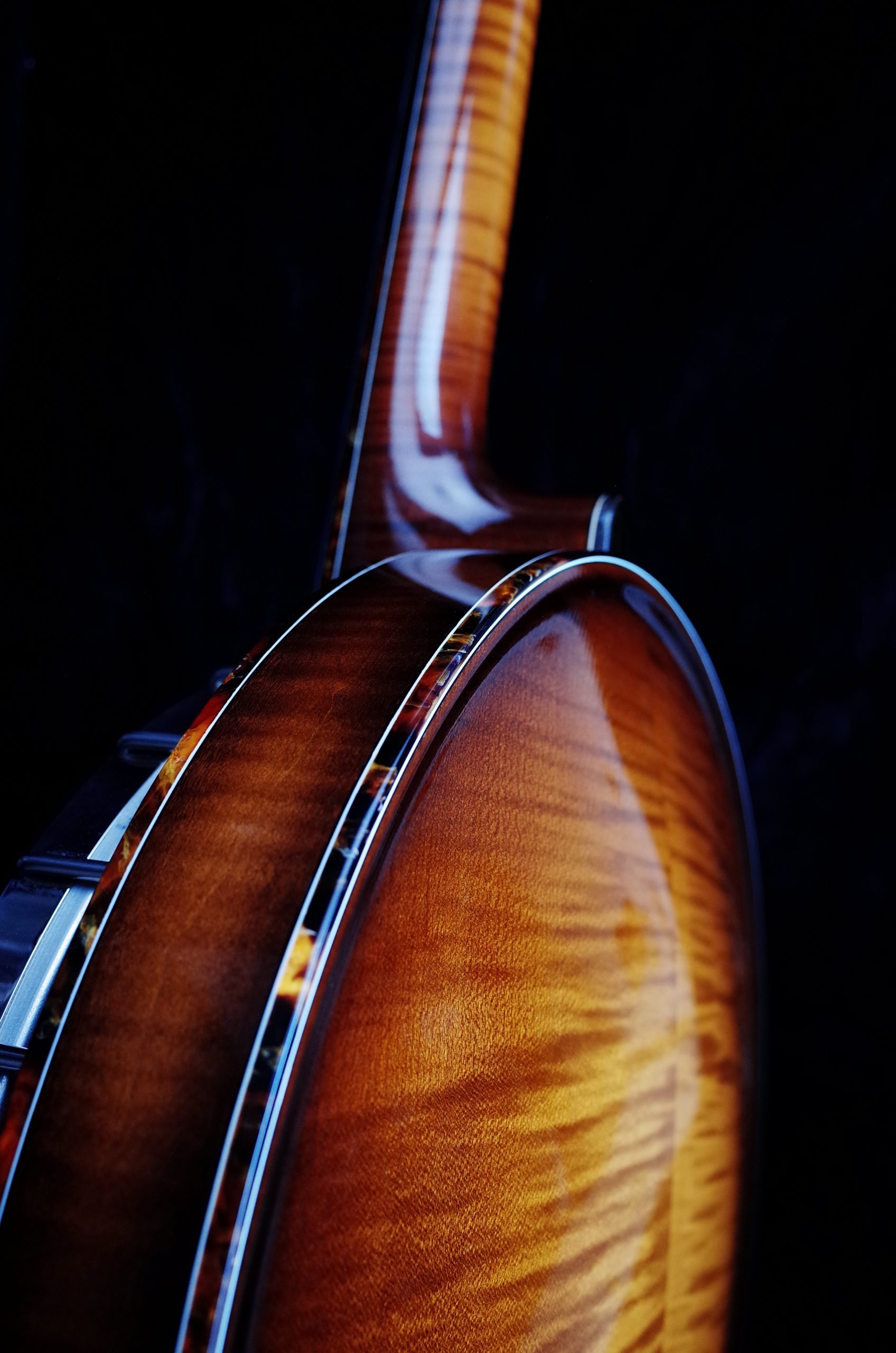 Binding options by Coall Instruments
