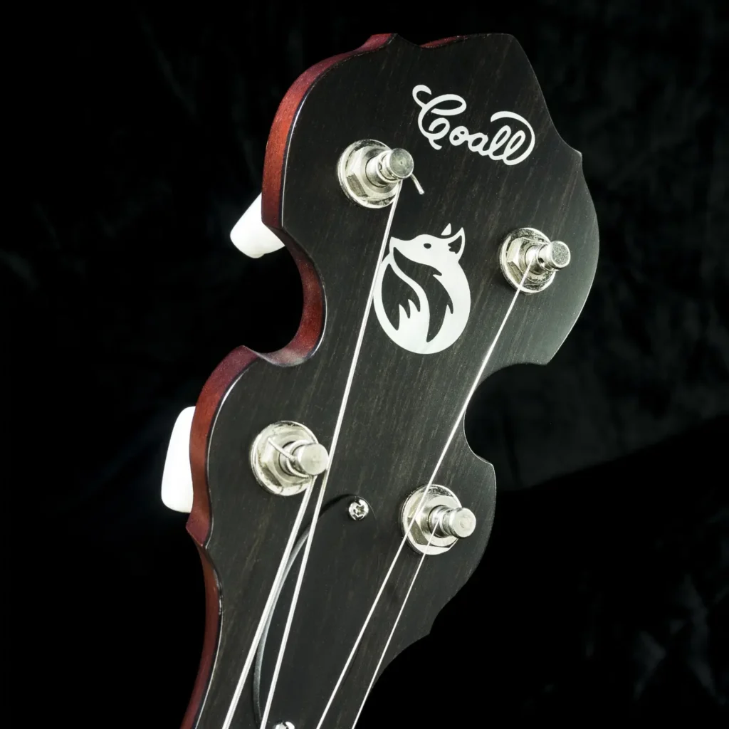 Custom Banjo Tenor Irish / handcrafted four string tenor banjo for traditional and acoustic ensembles / Coall Instruments