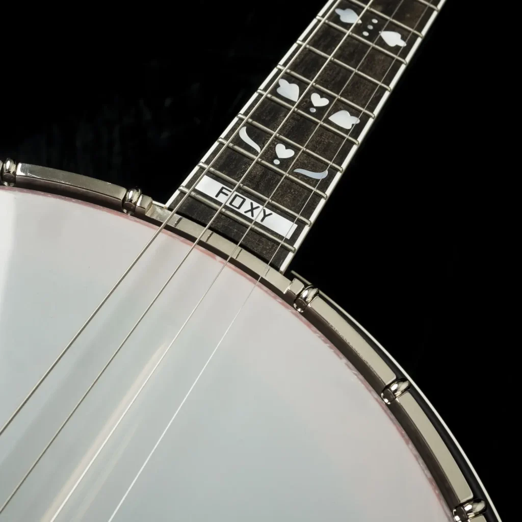 Custom Banjo Tenor Irish / handcrafted four string tenor banjo for traditional and acoustic ensembles / Coall Instruments