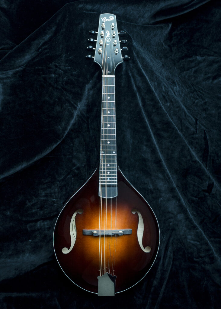 Custom Mandolin A5 015 / handmade mandolin style A with balanced tone and smooth response / Coall Instruments