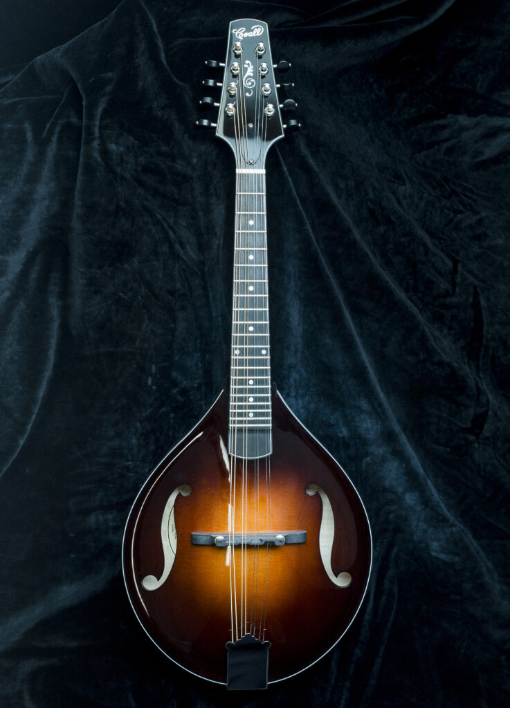 Custom Mandolin A5 015 / handmade mandolin style A with balanced tone and smooth response / Coall Instruments