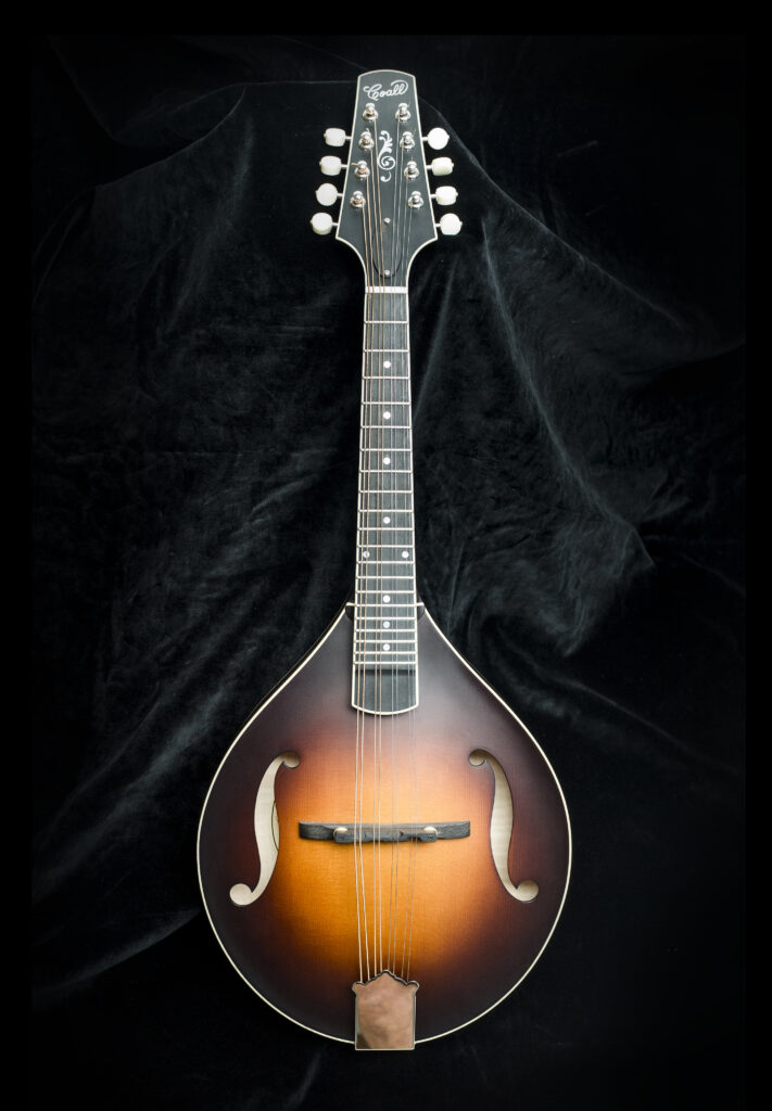 Custom Mandolin A5 016 / handmade mandolin style A with balanced tone and smooth response / Coall Instruments