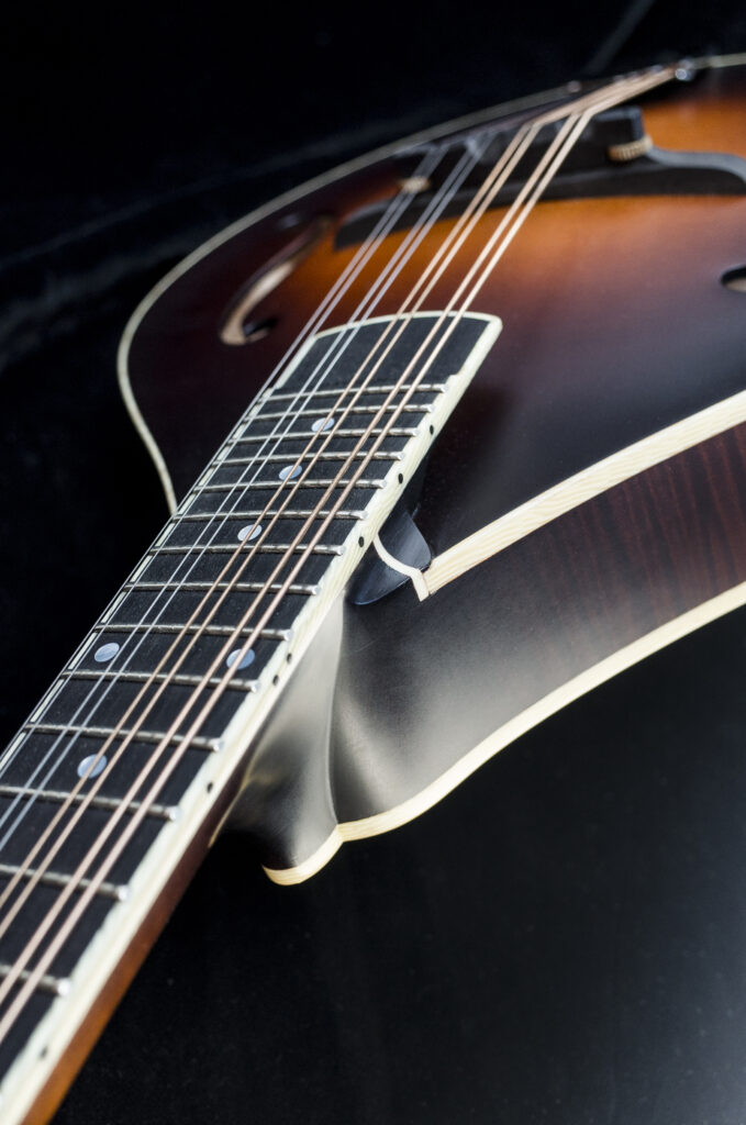 Custom Mandolin A5 016 / handmade mandolin style A with balanced tone and smooth response / Coall Instruments