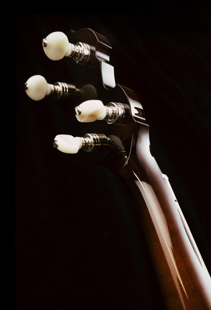 Custom Banjo Tradition Flying Eagle / traditional banjo handcrafted with classic design and strong projection / Coall Instruments