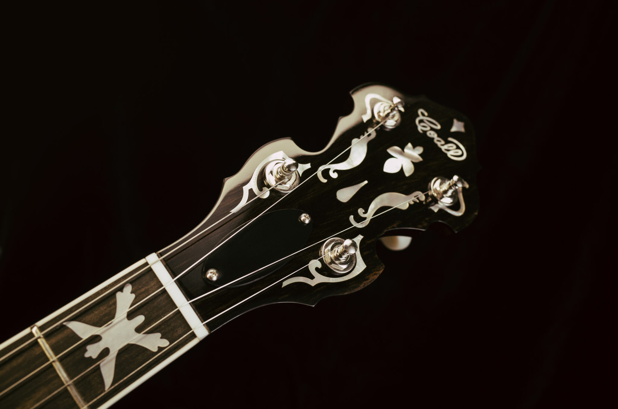 Ručne vyrábané banjo Coall Instruments