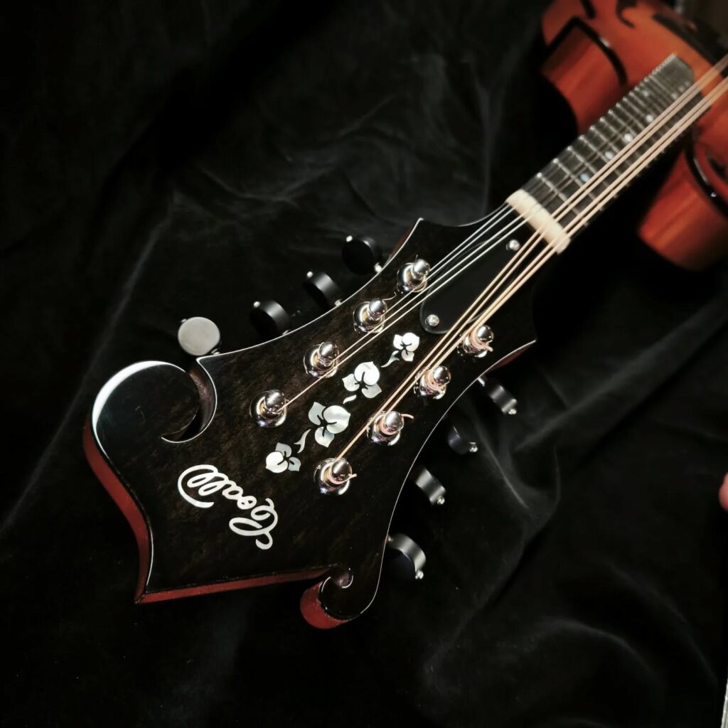 Custom Mandolin F5 / handcrafted mandolin style F with traditional scroll design and powerful tone / Coall Instruments