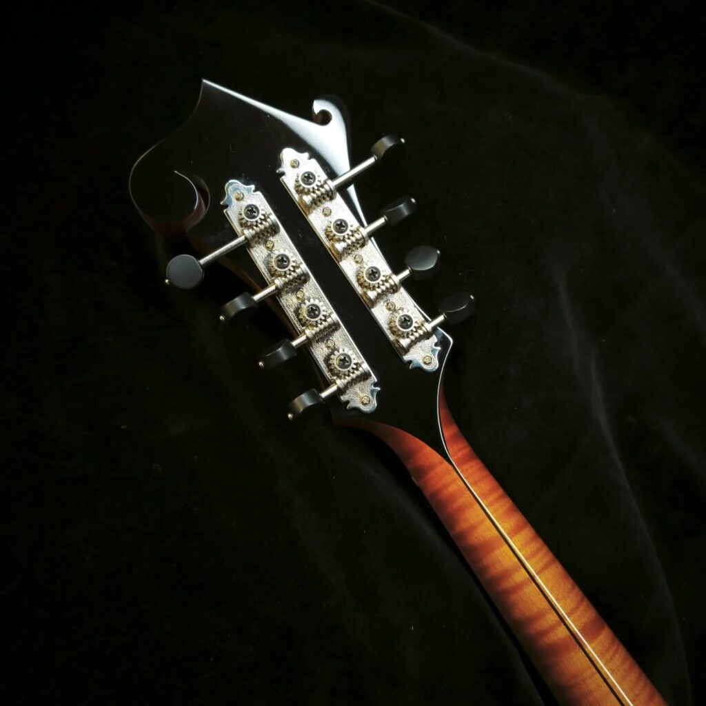 Custom Mandolin F5 / handcrafted mandolin style F with traditional scroll design and powerful tone / Coall Instruments