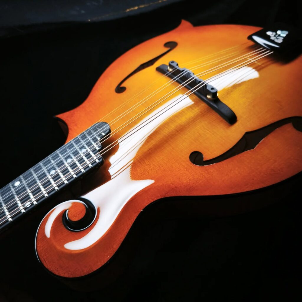 Custom Mandolin F5 / handcrafted mandolin style F with traditional scroll design and powerful tone / Coall Instruments