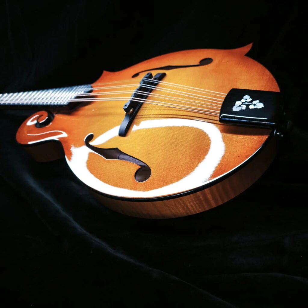 Custom Mandolin F5 / handcrafted mandolin style F with traditional scroll design and powerful tone / Coall Instruments