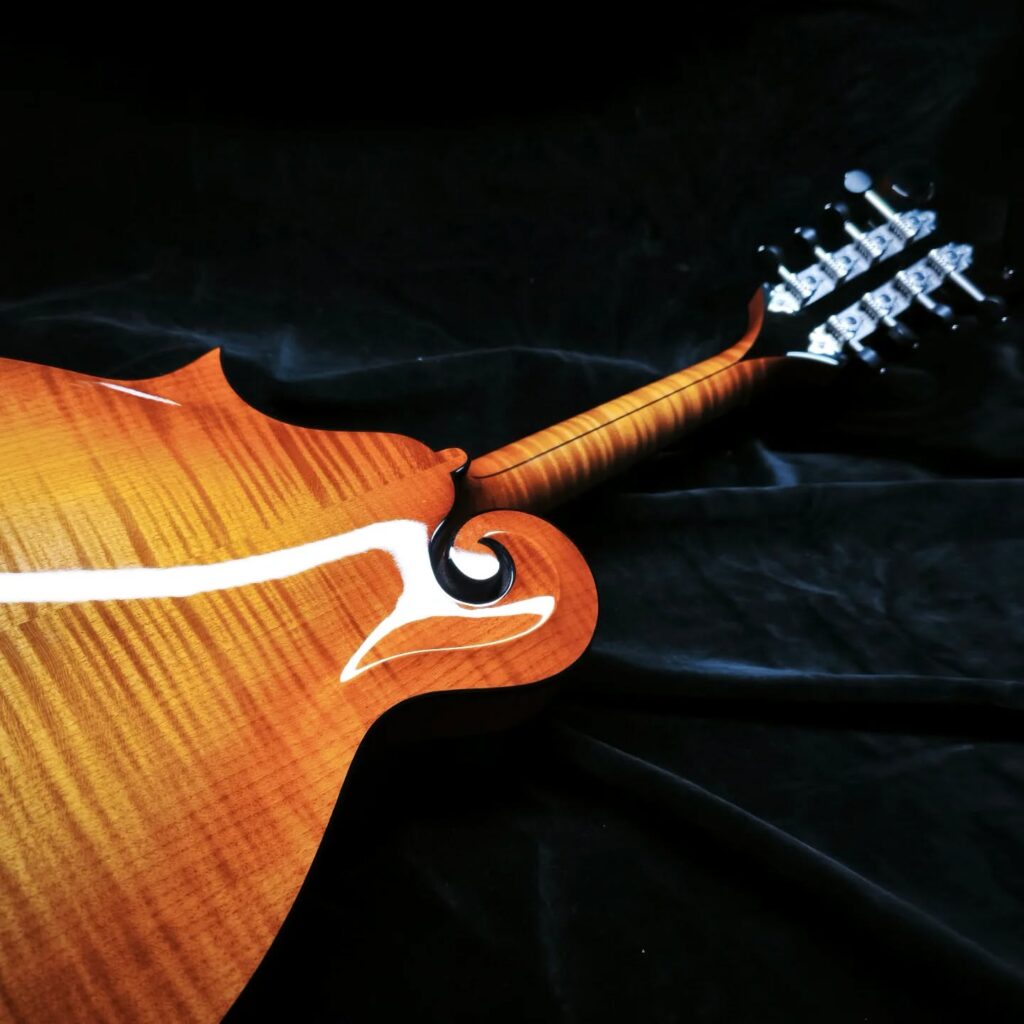 Custom Mandolin F5 / handmade mandolin style F with strong projection and bluegrass character / Coall Instruments