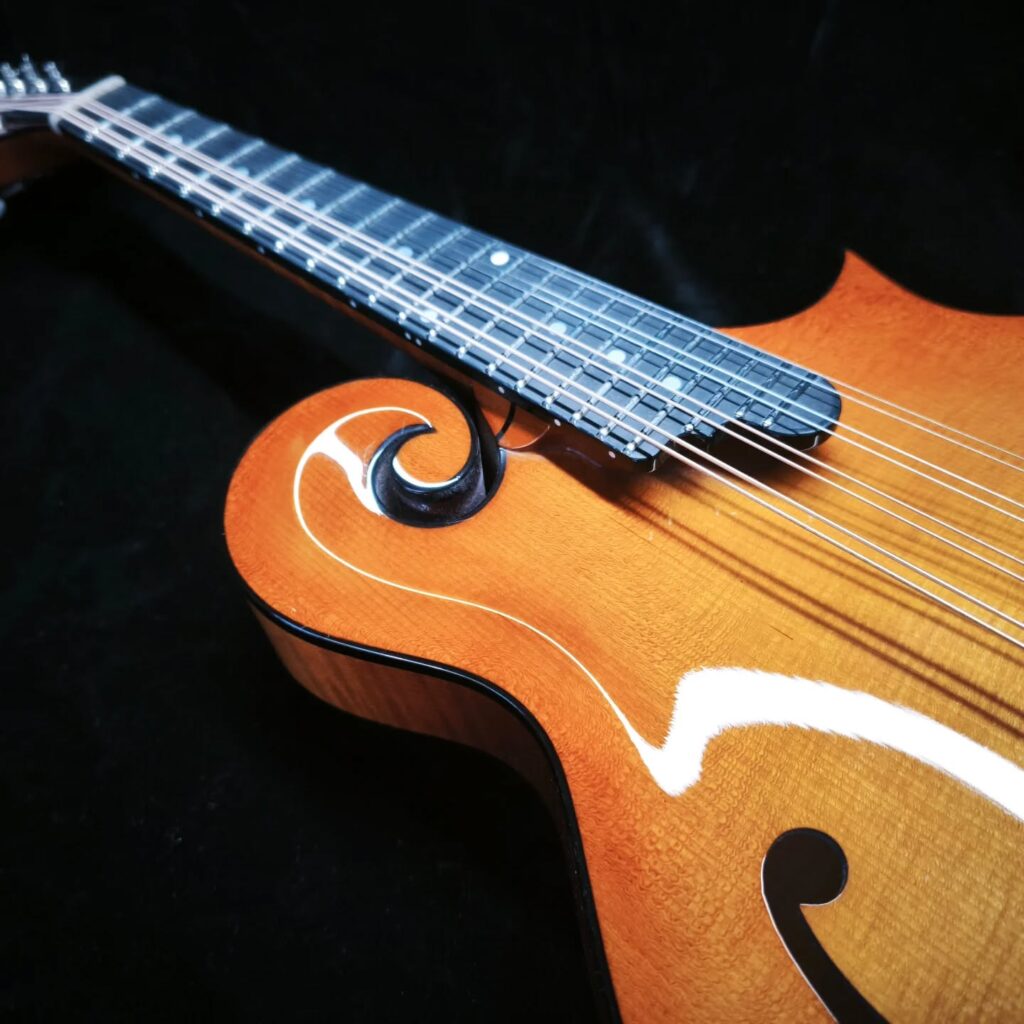 Custom Mandolin F5 / handmade mandolin style F with strong projection and bluegrass character / Coall Instruments