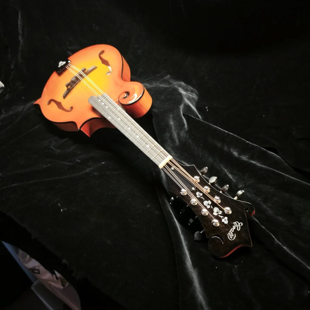 Custom Mandolin F5 / handmade mandolin style F with strong projection and bluegrass character / Coall Instruments