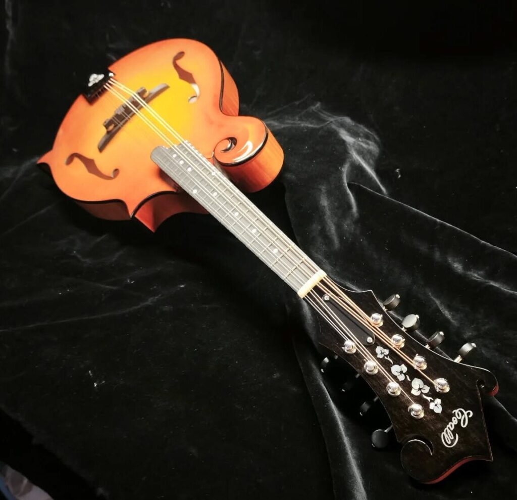 Custom Mandolin F5 / handmade mandolin style F with strong projection and bluegrass character / Coall Instruments
