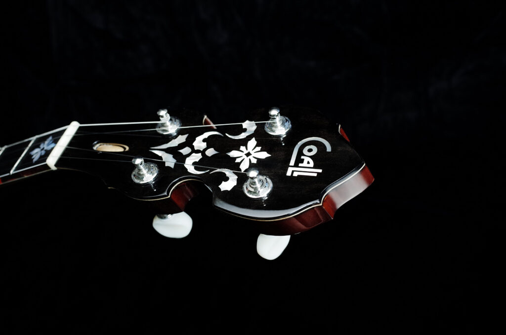 Custom Banjo Cardus / handmade banjo with distinctive look and refined construction by European luthier / Coall Instruments