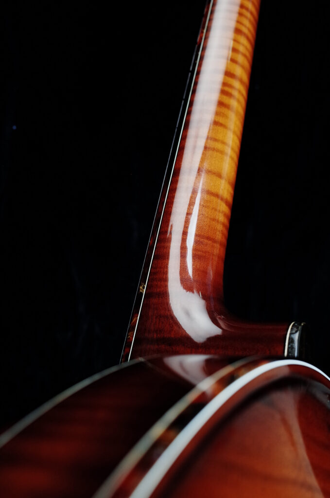 Custom Banjo Cardus / handmade banjo with distinctive look and refined construction by European luthier / Coall Instruments