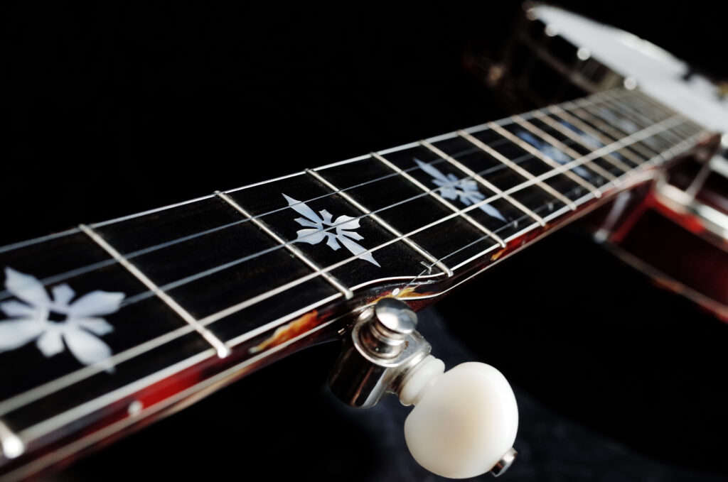 Custom Banjo Cardus / handmade banjo with distinctive look and refined construction by European luthier / Coall Instruments