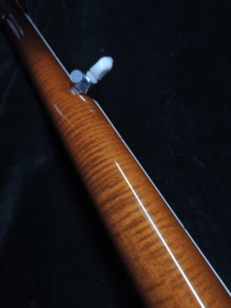 Cardus Maple Custom Banjo