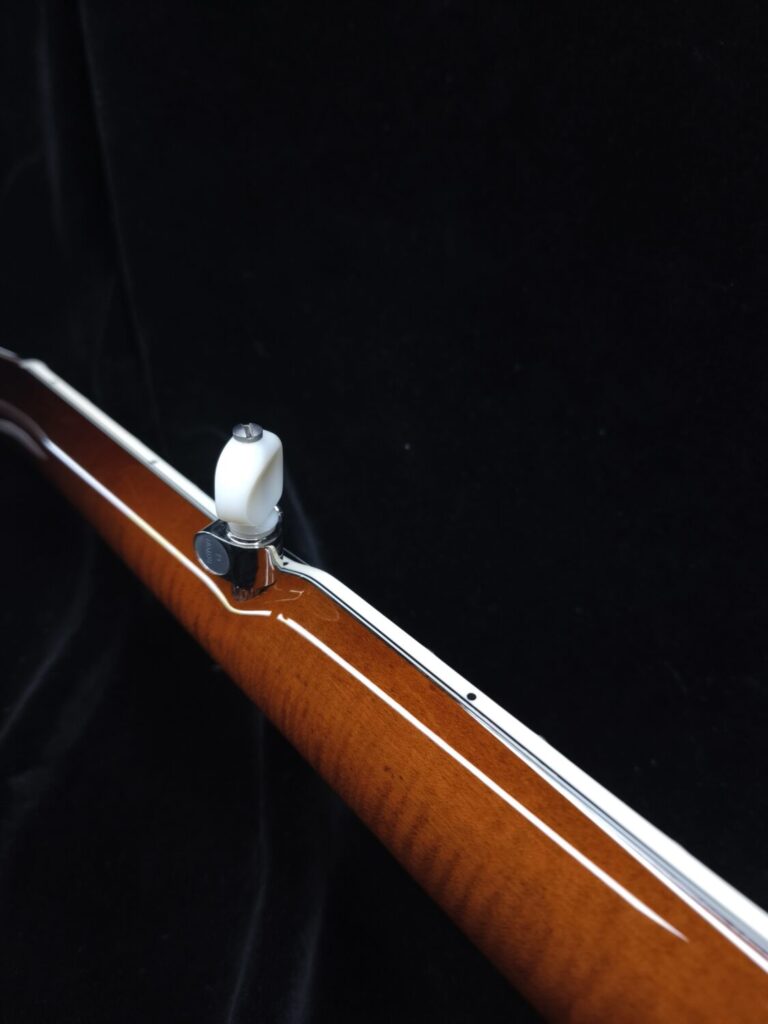 Cardus Maple Custom Banjo