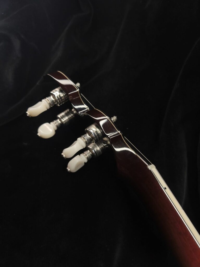 Cardus Maple Custom Banjo