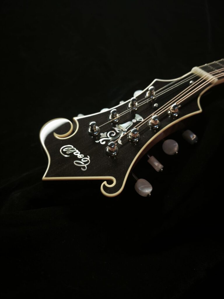Mandoline Style F5 - 01