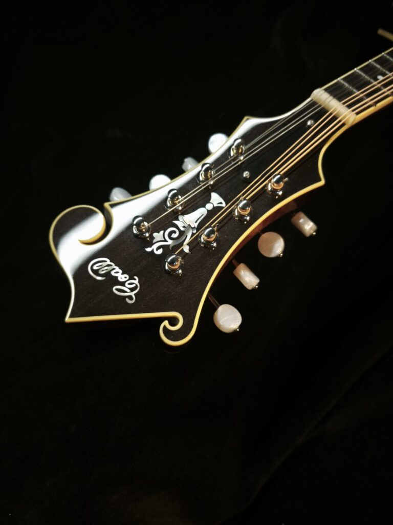 Mandoline Style F5 - 01