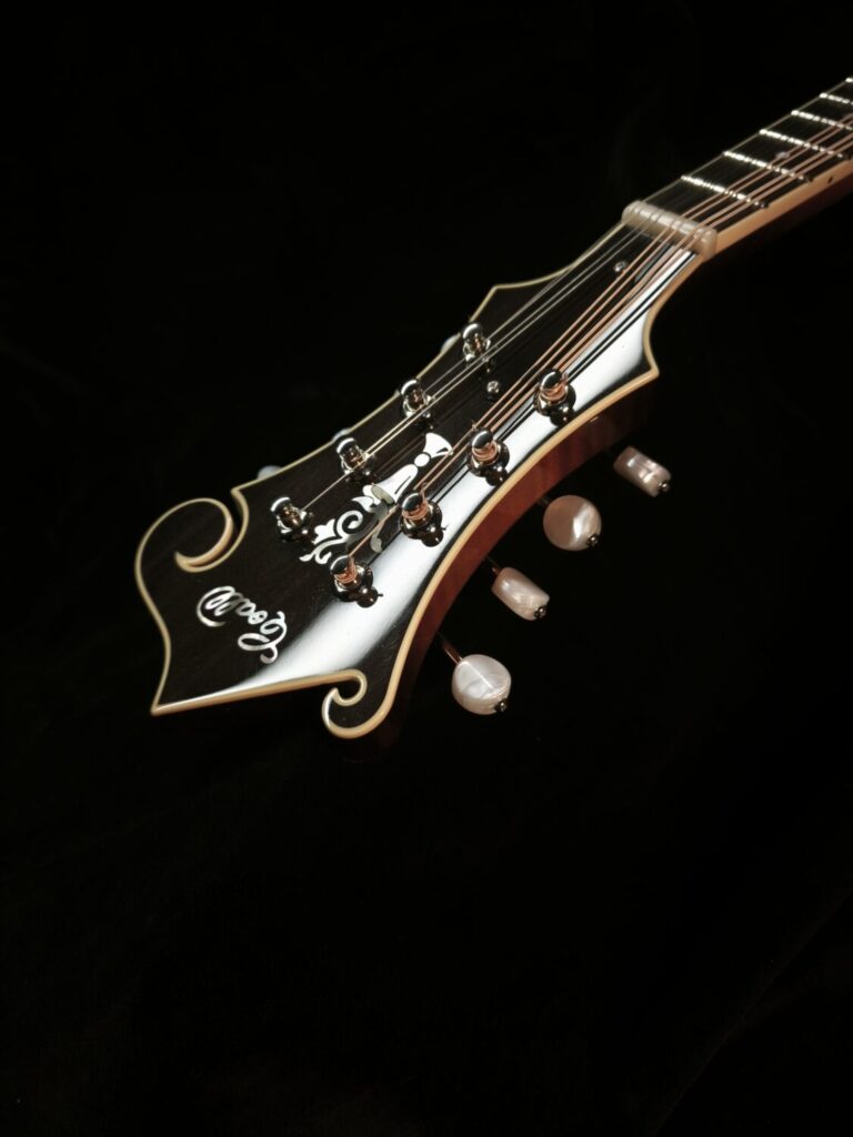 Mandoline Style F5 - 01