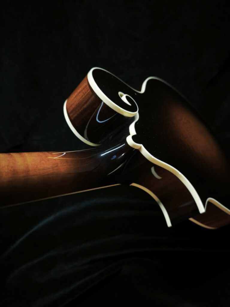 Mandoline Style F5 - 01